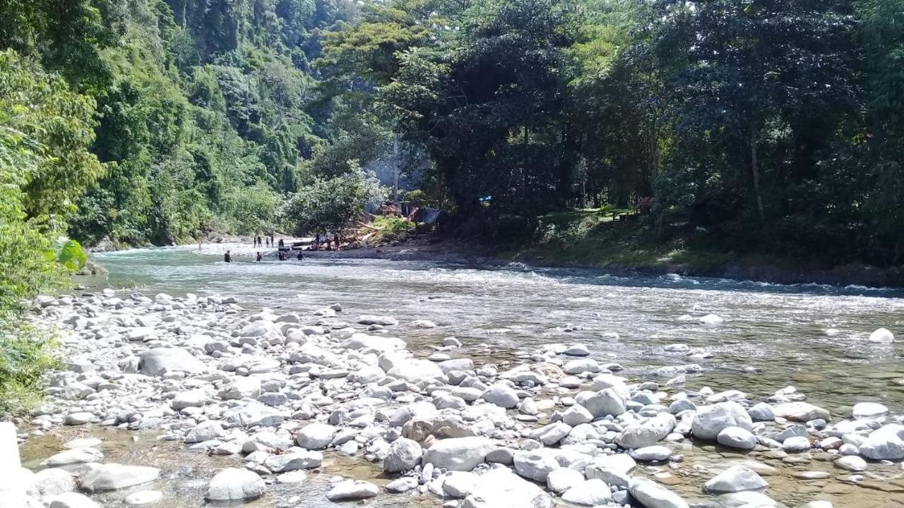 Rambai Tree Jungle Lodges Bukit Lawang Exteriör bild
